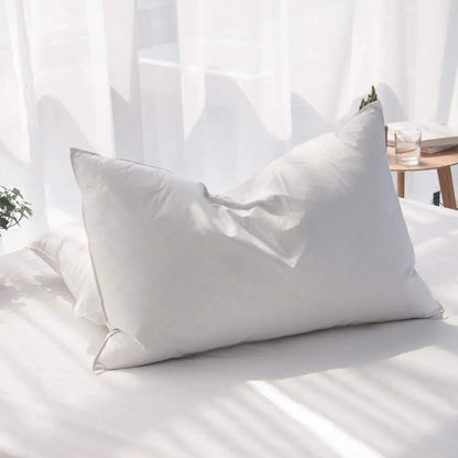 2PC Duck Feathers Pillows 100% Cotton