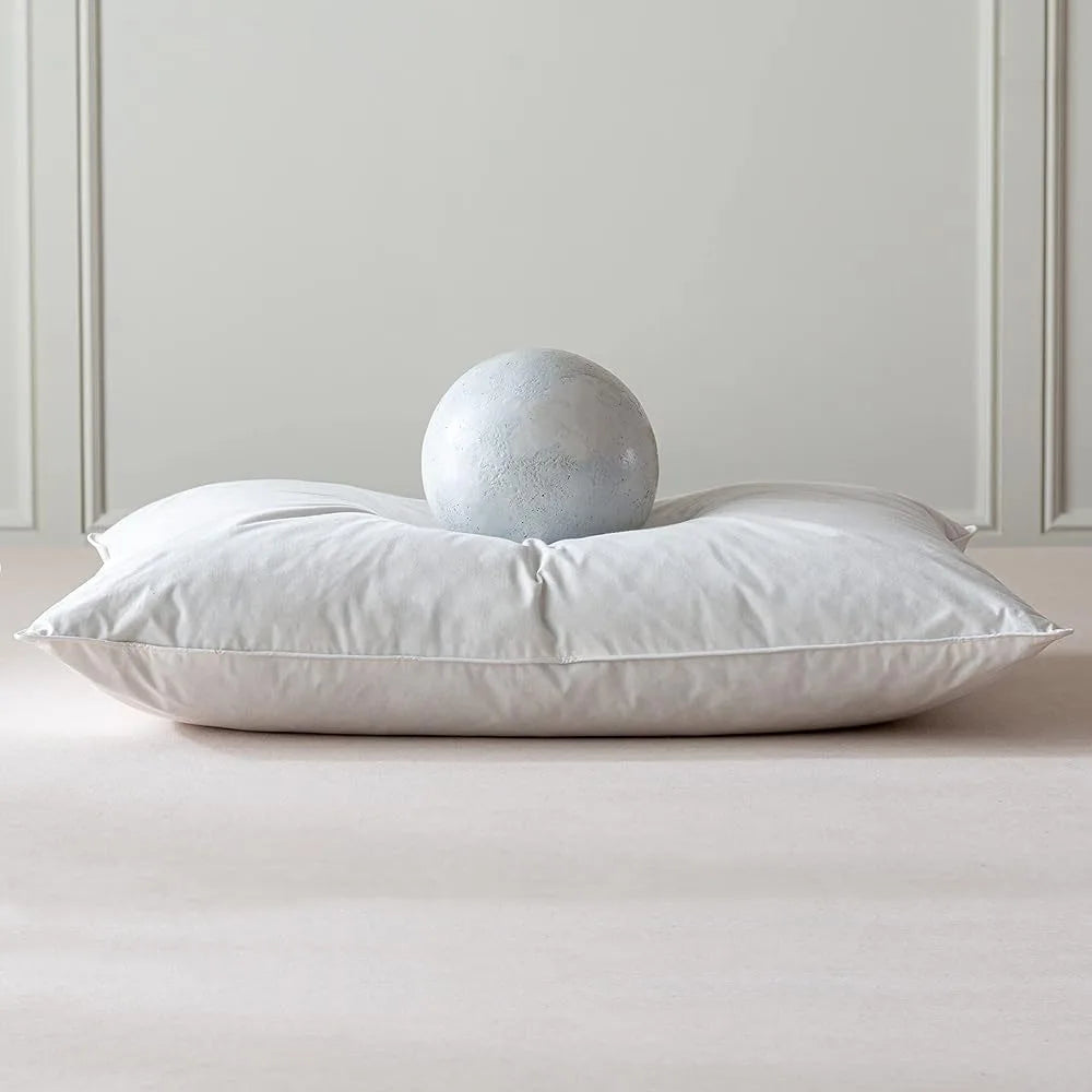 2PC Duck Feathers Pillows 100% Cotton