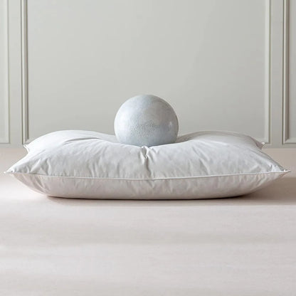2PC Duck Feathers Pillows 100% Cotton